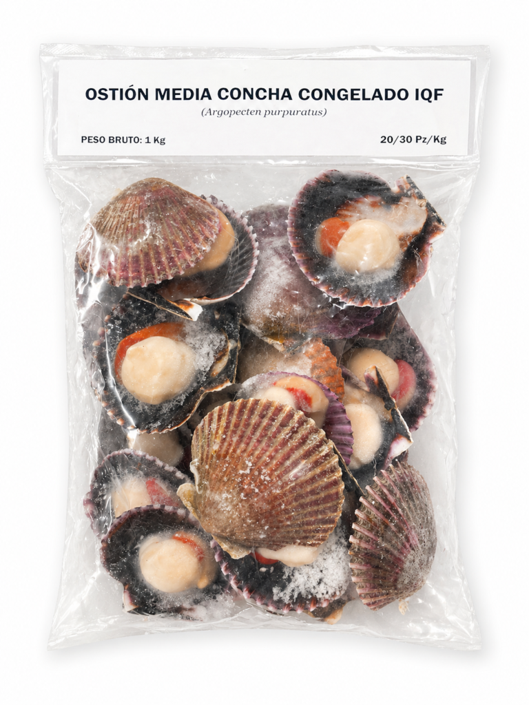 ostion media concha 1 kg alimex