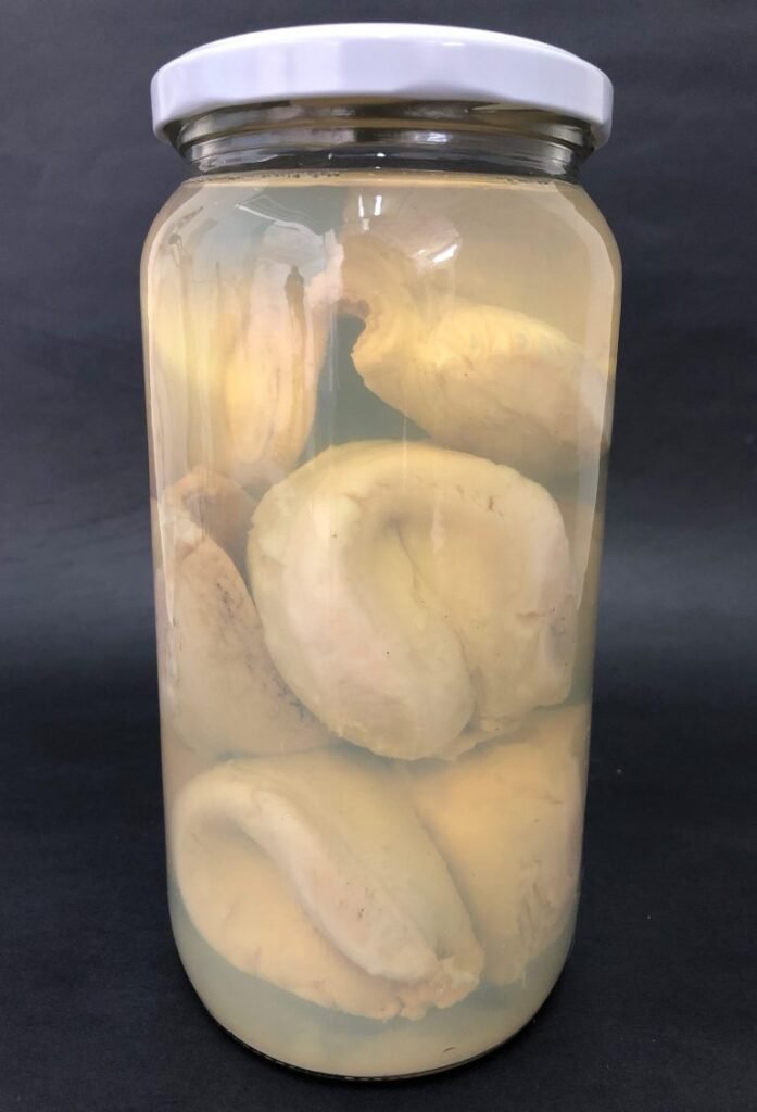 locos cocidos frasco 1.5 kg